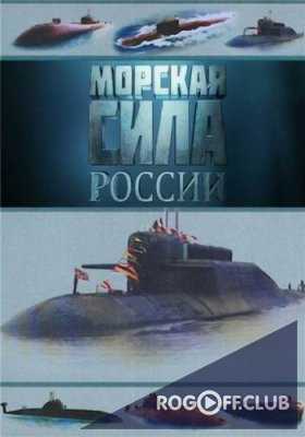 Морская сила России (2006 - 2009)