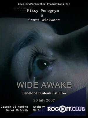 Пробуждение (2007)