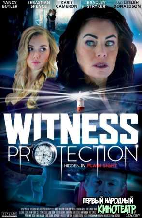 Программа защиты свидетелей (2017)