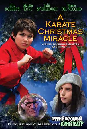 Рождественское чудо в стиле карате (2019)