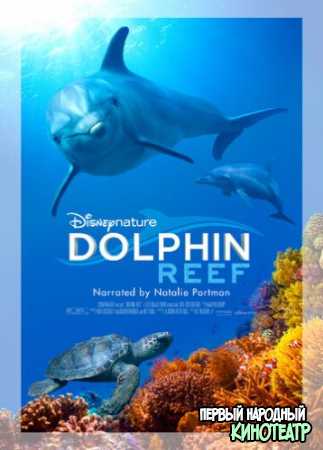 Дельфиний риф (2020)