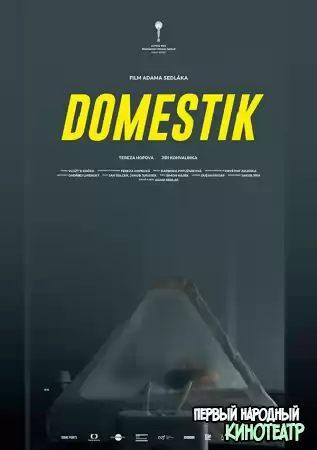 Домашний режим (2018)